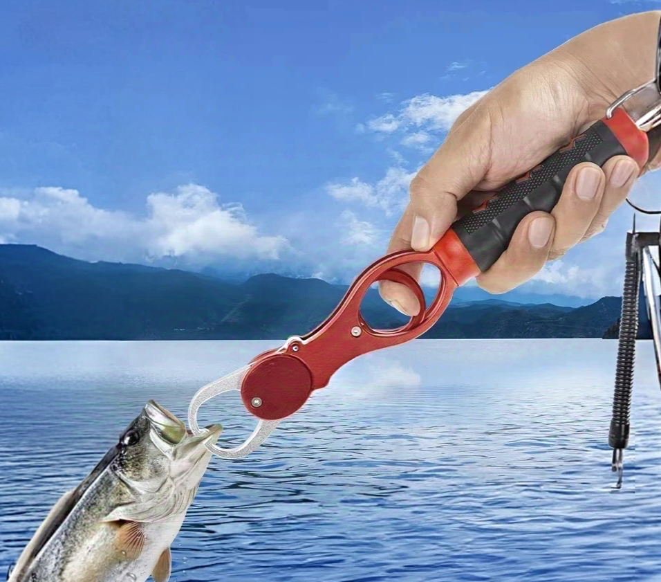Wholesale of fish lip clips with scales – huge discounts! Contact us for procurement now!!